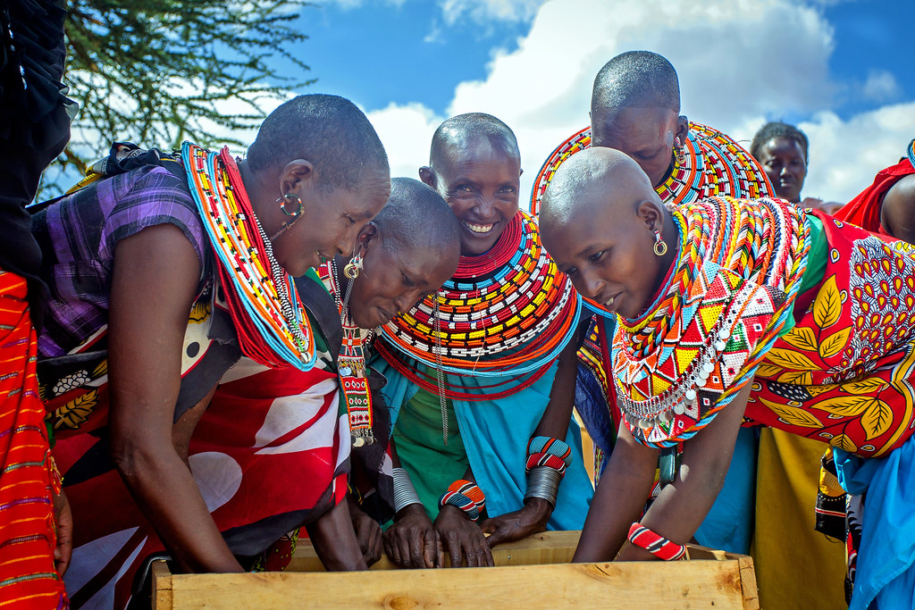 Kenyan Pastoralists Prepare Hay Bales