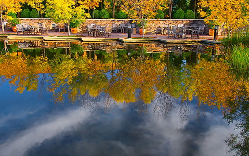 autumn color water vw gold cloudy reflect sit