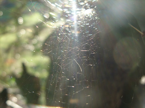 web | by mercedesmelis