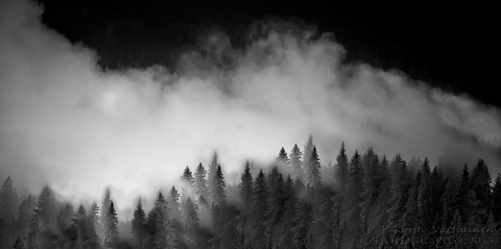 Smoke at the forest | Night scene from The Puijo Tower - Kuo… | JP ...