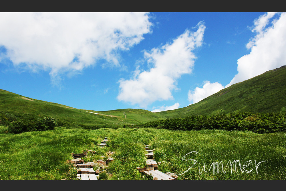 夏の月山