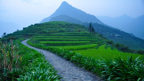 2010 d5000 ecolodge laocai nikon sapa topas mountsilverstone outdoor landscape rice field hill vietnam asia flickrtravelaward nikonflickraward