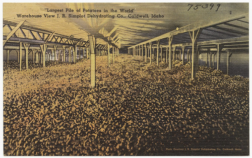 "Largest pile of potatoes in the world," warehouse view J.R. Simplot Dehydrating Co., Caldwell, Idaho