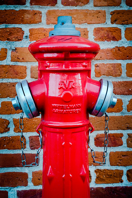 Portrait - Fire Hydrant