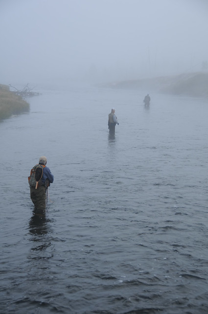 Fly Fishing in the Firehole, Yellowstone National Park