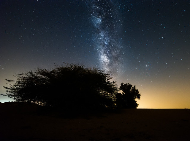 Milky way above desert