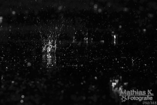 Regen in der Nacht | Projekt 365 | Tag 50