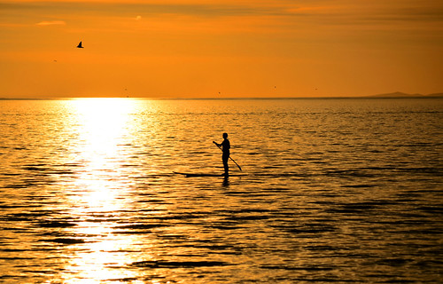Paddleboarder I by phunny.not.funny, light sunset sea seagulls beach water silhouette evening bay coast nikon australia melbourne victori