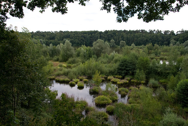 Naturschutzgebiet "Am Hornpottweg"