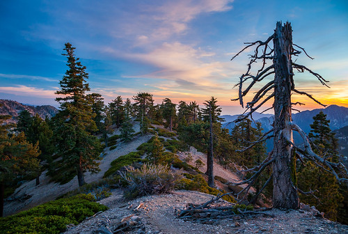 california mountains landscape hiking nationalforest wilderness sangabrielmountains