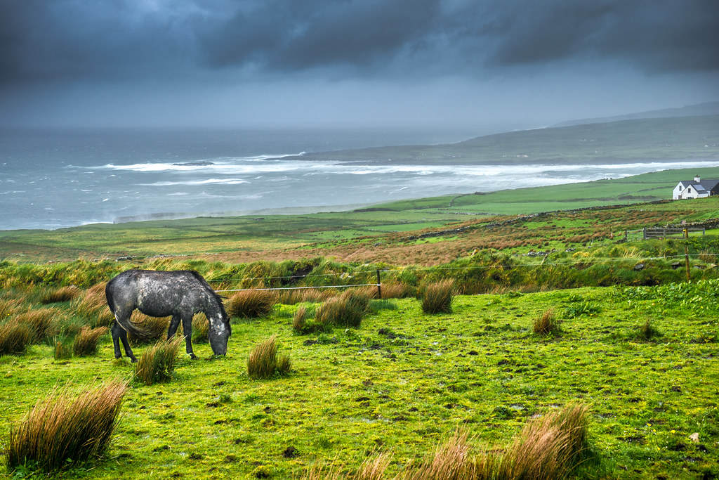 The dark horse, Liscannor, Ireland