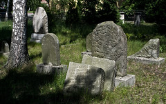 Jewish_cemetery_Zolynia_IMGP4537
