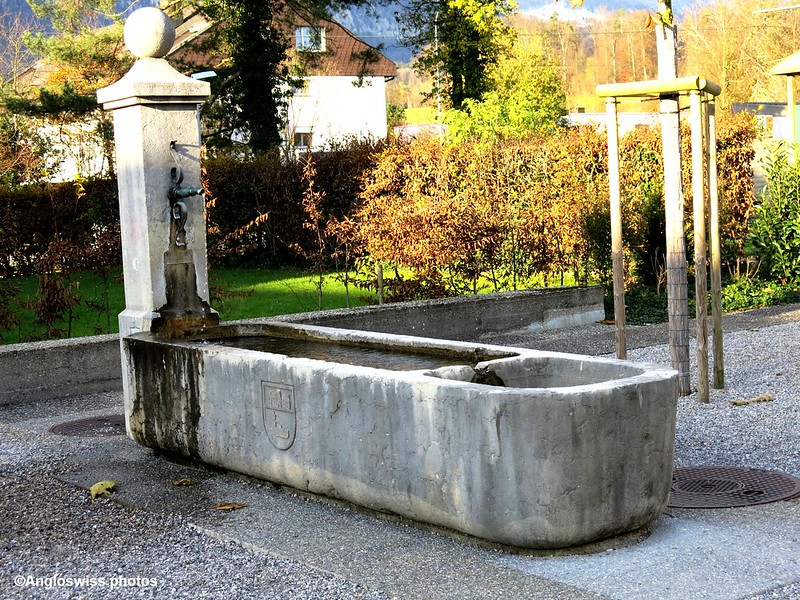 Fountain in Feldbrunnen