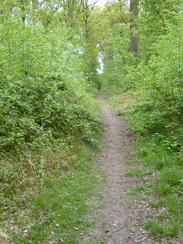 Bos van Marpingen