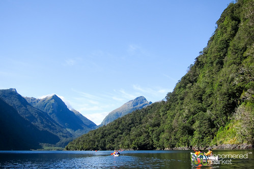 newzealand water kayak kayaking southisland doubtfulsound