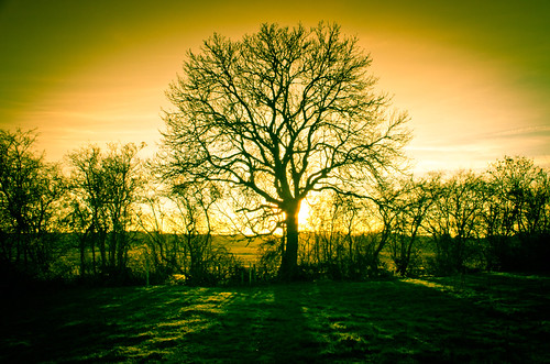 close of the day by Holly Norval, sun setflickrandroidapp:filter=none harboroughrugbyclub