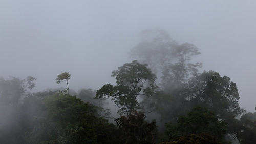 mountain fog clouds forest canon highlands rainforest cloudy foggy tram hills adobe malaysia cablecar kualalumpur selangor lightroom 6d gentinghighlands batangkali canon6d lightroom5