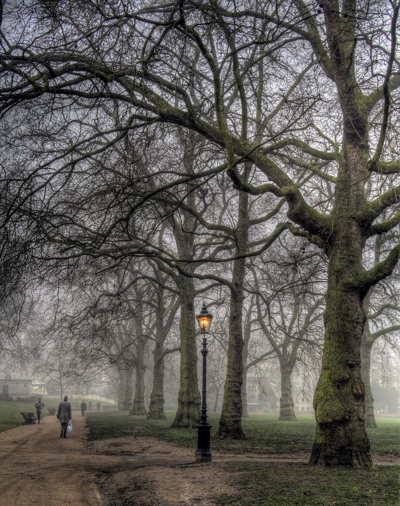 Fog in Green Park, London | London Fog The fog yesterday mor… | Flickr