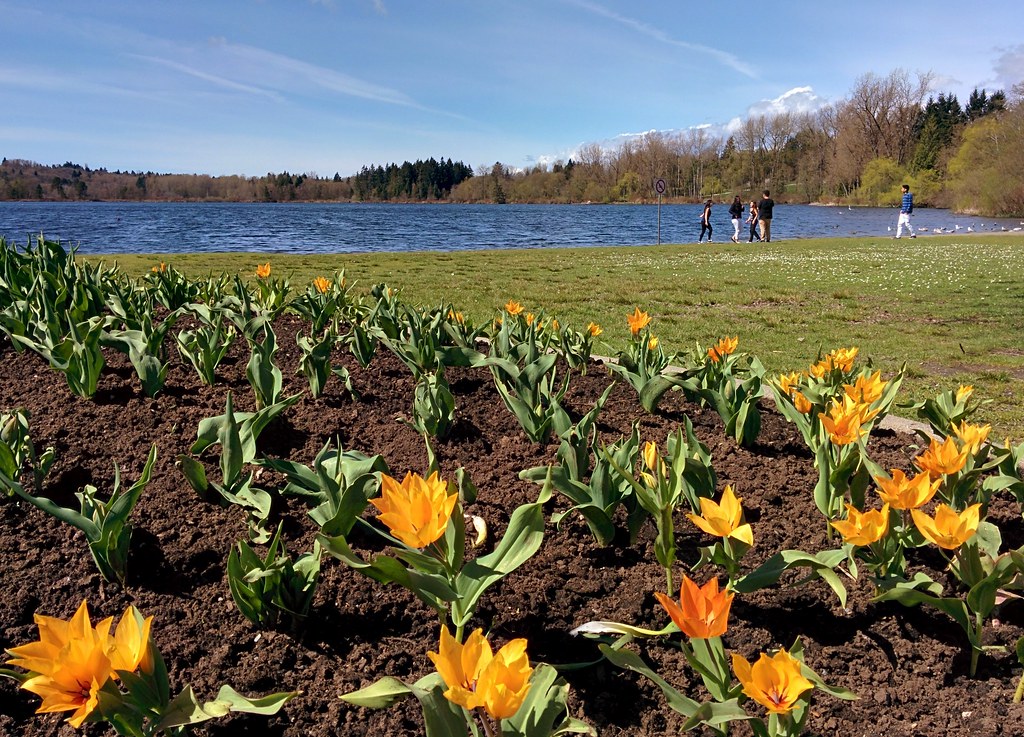 Deer Lake Park