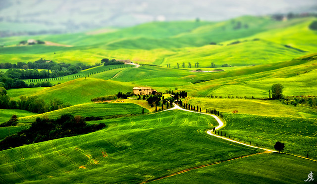 Tuscany’s green scapes