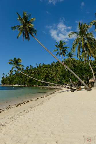 ocean blue white tree green beach sand palm phl philippinen negrosoccidental cawayan