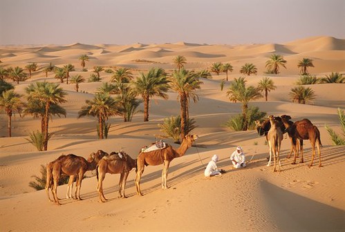 Algérie , le tourisme du désert - الجزائر , السياحة الصحراوية
