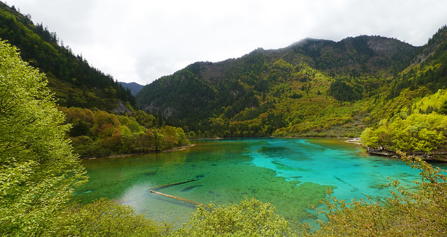 Five-flower Lake, Jiuzhaigou National Park