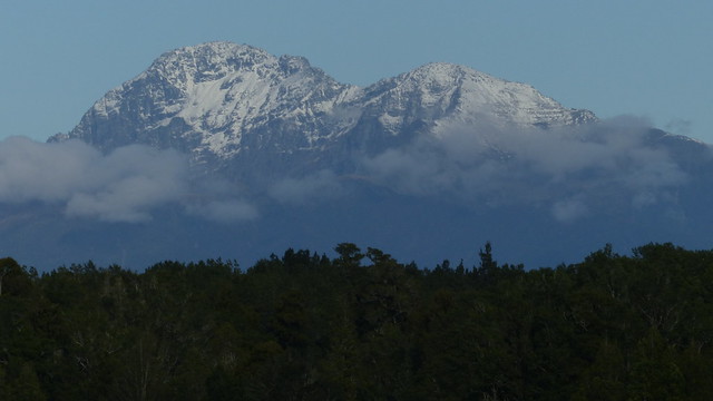 Mt Alexander from Kotuku