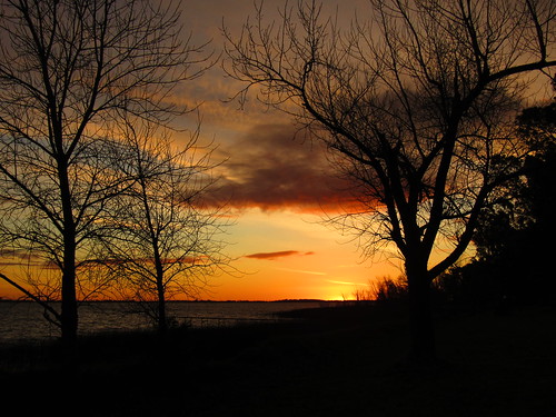 atardecer sunset colors tree lake laguna chascomús sun otoño autumm autumn