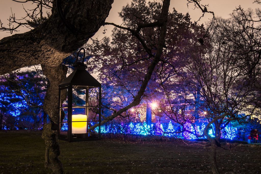 Garden Glow Lantern Missouri Botanical Garden Ted Engler Flickr