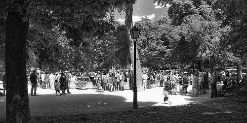 Reunión en el parque / Meeting in the park | by jninophotos