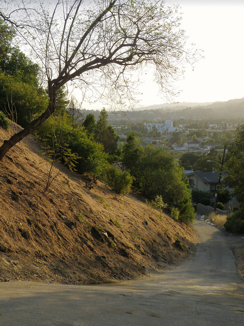 A Narrow Road in Glassell Park