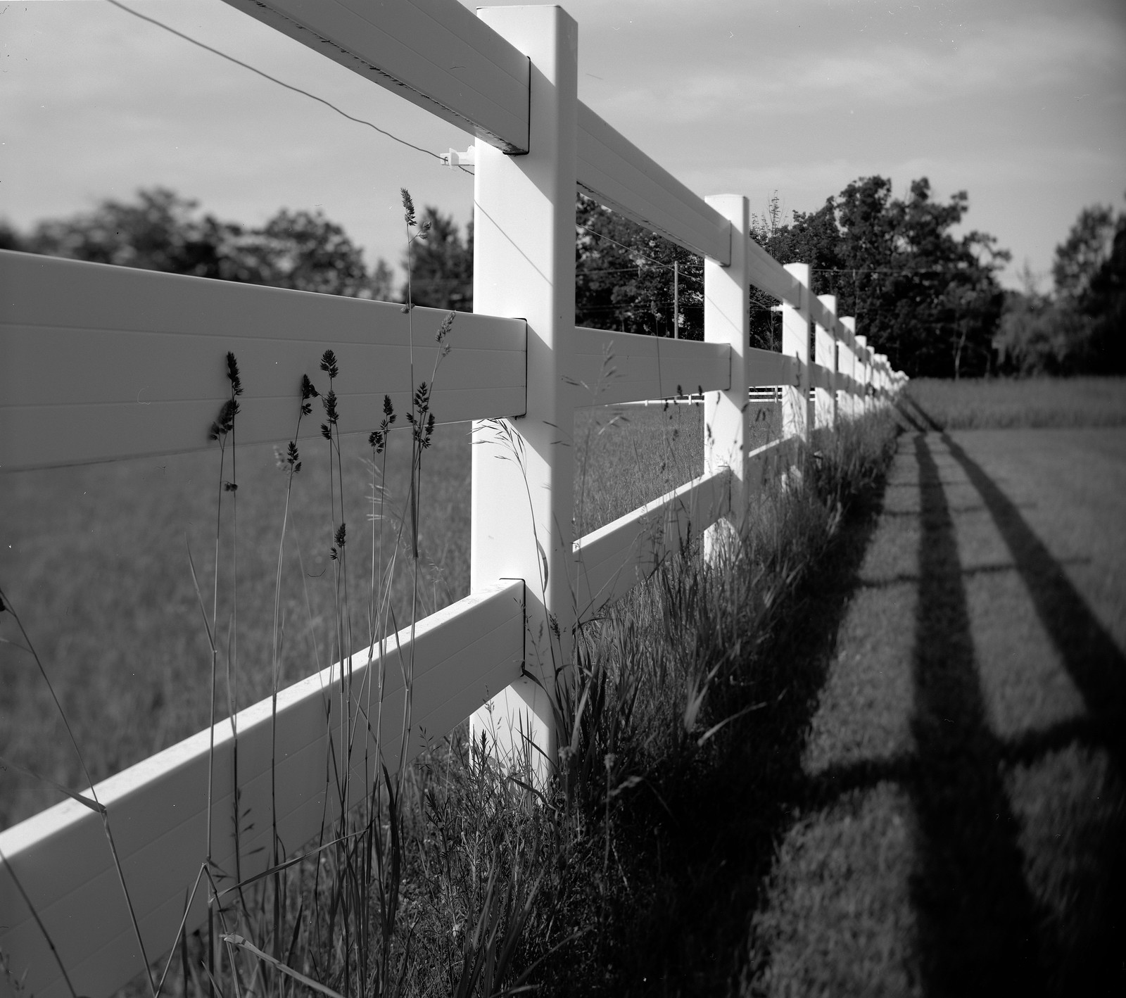 Fence Line