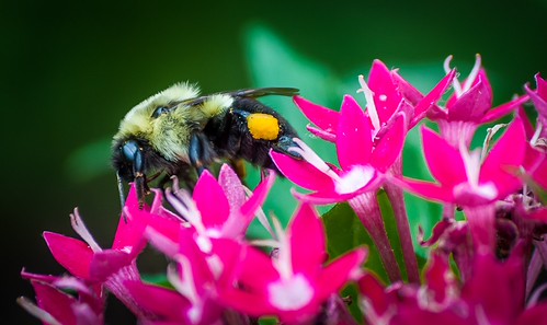 DSC_0044-1a | by Curtis Cabana Photography