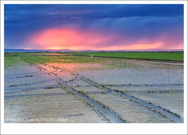Flooding the rice fields XXI (glow and tracks)