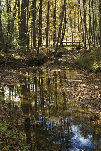 bridge autumn fall nature yellow creek forest stream coloneldenningstatepark