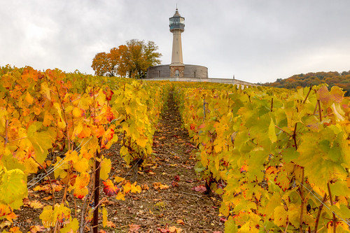 autumn lighthouse france fall automne landscape vineyard champagne paysage fr vignes vignoble phare verzenay champagneardenne