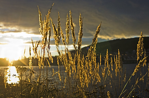 autumn sunset fall backlight sweden bokeh jämtland sunflare frösön storsjön canoneos50d magnuslögdberg