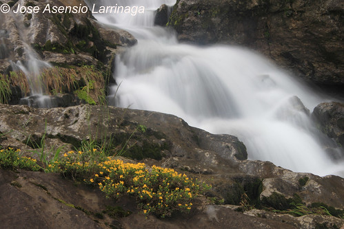 Cascada . Efecto seda #DePaseoConLarri #Photography  8