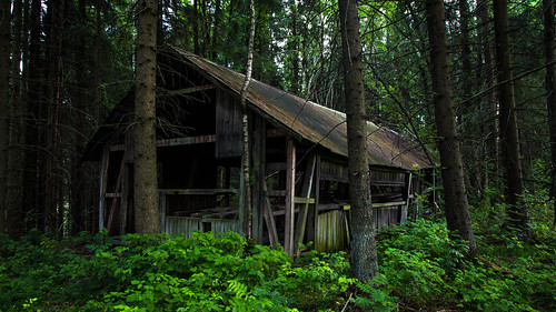 camp canon scary forrest 6d canon6d
