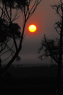 Red Sun．(C)Raymond J． Marcon， all rights reserved