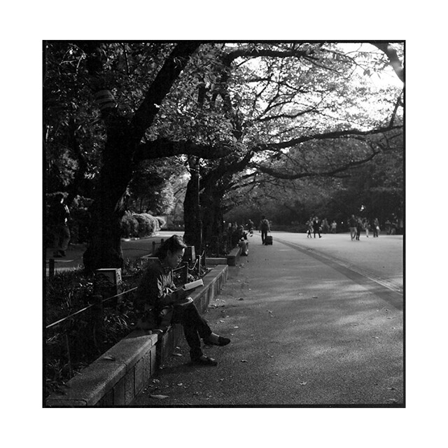 reading in ueno • tokyo, japan • 2014