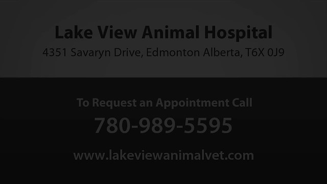 Lakeview Animal Hospital | Flickr