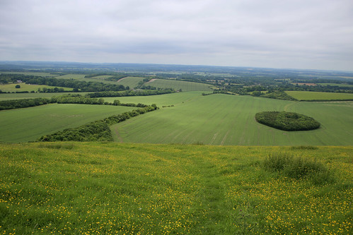 View from Inkpen Hill 