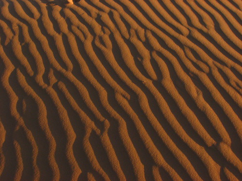 Sand Dunes 102 | by Chandler West