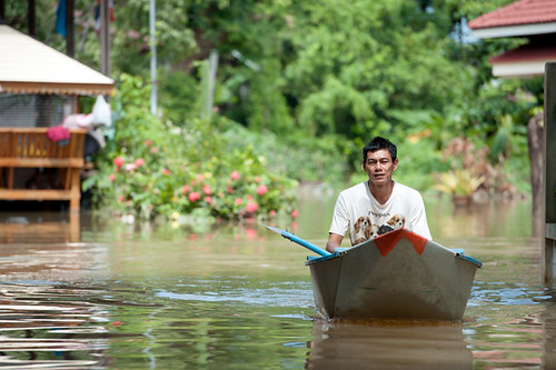 people house man tree nature water thailand boat flood disaster prachinburi simahaphot