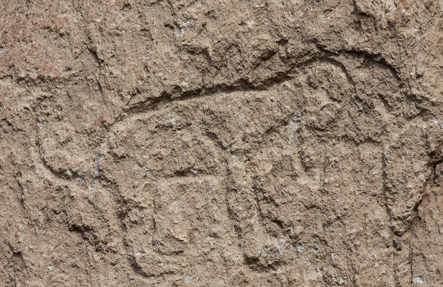 Petroglyph: Dog or Coyote; Bandelier National Monument, NM Rte 4, (Lou Feltz]