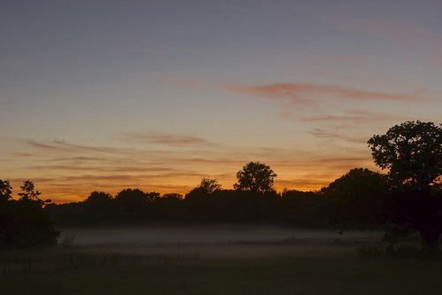 trees sunset mist clouds twilight glow unitedkingdom dusk norfolk aylsham marshes carlzeiss sonyrx100