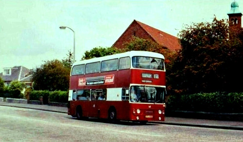 The 12 in suburbia | by regentlad