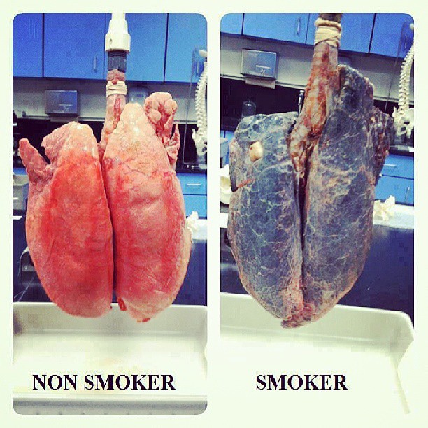 Don't smoke pls.. #punjab #sadapunjabdotin #punjabi #funny… | Flickr